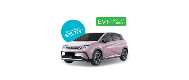 BYD Dolphin Dynamic